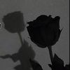 armyramy