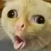 iyainajadahnyet