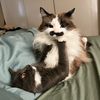 mooseyandbunny