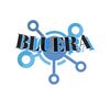 bluera17