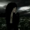 .misami