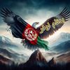 qaziafridi711