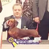 berry_cu