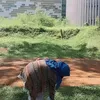 byanjanii