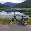 pivko40