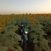 moto_kostik_156