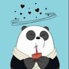 _i_am_a_panda_bear_