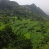 abuabdurhman