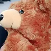 vhawhy_669