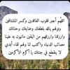 fofo_784