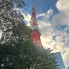 needle.05
