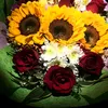 happy192837465