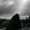 m__ha313