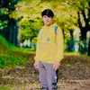 shabirafridi302