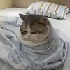 hatdoger69