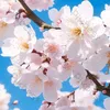 user9xjh69zx53