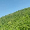 ciprian080578