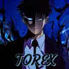 torex999