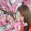 van.anh617
