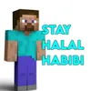 Halal Steve