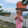 ipiien_neo