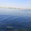 dy667c2tf1d4