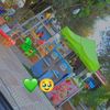 dinamina739
