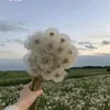 thomdexuong