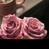 shoog_717