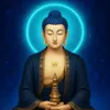 t0mmythuan