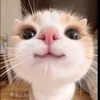 olif_fka