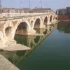 tamahasaliba