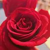 shosho_7580