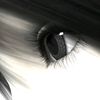 force.qq
