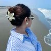 rokhsar_sharifi