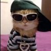 randomvibez23
