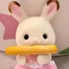 dotkiarika