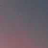 manzanita_u