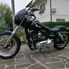 gio_harley
