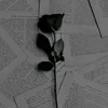 nour.el168