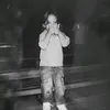 .vieira_z7