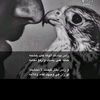 ssultan..1442
