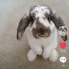 my.precious.buns