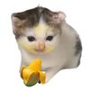 lilismeow_013