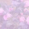 minnakowaikarayada0