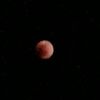 mothermoon12345