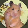 basugasubakuhatu