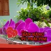 hinhphan1234