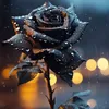 _solitude.10_