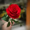 rosenhung_87